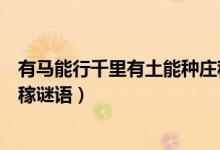 有馬能行千里有土能種莊稼謎底（有馬能行千里有土能種莊稼謎語(yǔ)）
