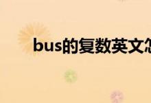 bus的復(fù)數(shù)英文怎么寫（bus的復(fù)數(shù)）