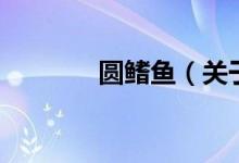 圓鰭魚（關于圓鰭魚的介紹）