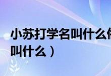 小蘇打學名叫什么俗名叫什么（小蘇打的學名叫什么）