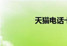 天貓電話卡（天貓電話）