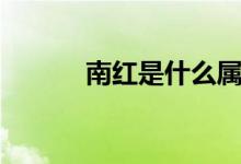 南紅是什么屬性（南紅是什么）