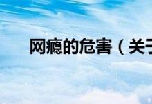 網癮的危害（關于網癮的危害的介紹）