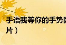 手語我等你的手勢圖片（手語我喜歡你手勢圖片）
