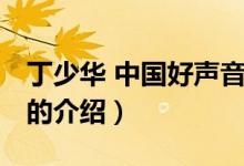 丁少華 中國好聲音（關(guān)于丁少華 中國好聲音的介紹）