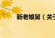 新老娘舅（關(guān)于新老娘舅的介紹）