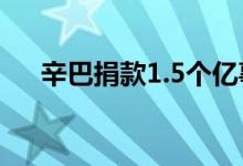 辛巴捐款1.5個(gè)億事件（辛巴身價(jià)多少）