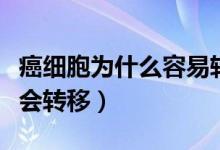 癌細胞為什么容易轉(zhuǎn)移和擴散(癌細胞為什么會轉(zhuǎn)移)