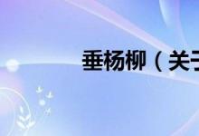 垂楊柳（關(guān)于垂楊柳的介紹）