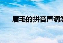 眉毛的拼音聲調(diào)怎么寫（眉毛的拼音）