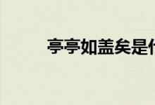 亭亭如蓋矣是什么梗（亭亭如蓋）