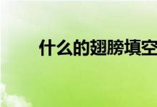 什么的翅膀填空詞語(什么的翅膀)