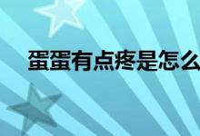 蛋蛋有點疼是怎么了（為什么蛋蛋會痛）