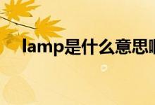 lamp是什么意思?。╨amp是什么意思）
