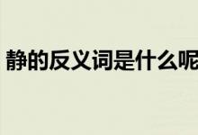 靜的反義詞是什么呢標(biāo)準(zhǔn)答案（靜的反義詞）
