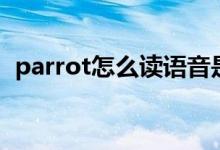 parrot怎么讀語音是什么（parrot怎么讀）