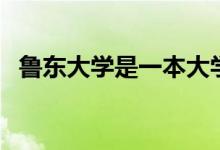 魯東大學(xué)是一本大學(xué)嗎（魯東大學(xué)是幾本）