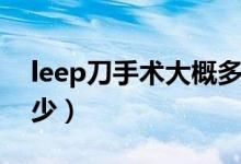 leep刀手術(shù)大概多少錢(qián)（leep刀手術(shù)費(fèi)用多少）
