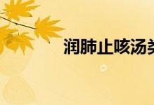 潤(rùn)肺止咳湯類（潤(rùn)肺止咳湯）