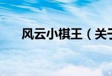 風云小棋王（關(guān)于風云小棋王的介紹）