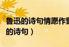 魯迅的詩(shī)句情愿作野草等著地下的火燒（魯迅的詩(shī)句）