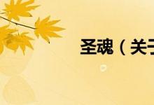 圣魂（關(guān)于圣魂的介紹）
