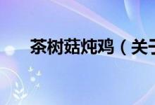 茶樹(shù)菇燉雞（關(guān)于茶樹(shù)菇燉雞的介紹）