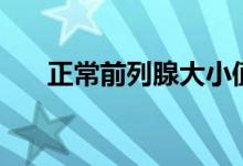 正常前列腺大小值（正常前列腺大?。?class=