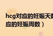 hcg對(duì)應(yīng)的妊娠天數(shù)從哪一天開始算（hcg對(duì)應(yīng)的妊娠周數(shù)）