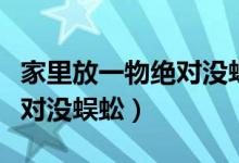 家里放一物絕對(duì)沒蜈蚣完整版（家里放一物絕對(duì)沒蜈蚣）