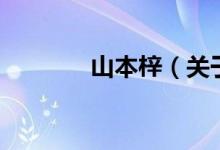 山本梓（關(guān)于山本梓的介紹）