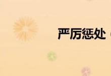 嚴厲懲處（嚴厲近義詞）