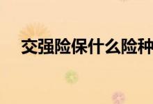 交強險保什么險種（交強險保什么內(nèi)容）