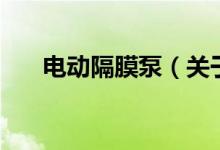 電動(dòng)隔膜泵（關(guān)于電動(dòng)隔膜泵的介紹）