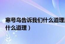 寒號(hào)鳥(niǎo)告訴我們什么道理用名言名句總結(jié)（寒號(hào)鳥(niǎo)告訴我們什么道理）