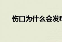 傷口為什么會發(fā)癢（傷口為什么結痂）