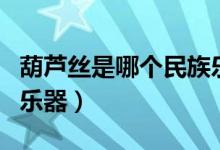 葫蘆絲是哪個(gè)民族樂器（葫蘆絲是哪個(gè)民族的樂器）
