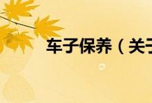 車子保養(yǎng)（關于車子保養(yǎng)的介紹）
