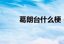 葛朗臺(tái)什么梗（葛朗臺(tái)什么意思）