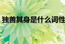 獨(dú)善其身是什么詞性（獨(dú)善其身是什么意思）
