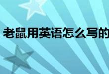 老鼠用英語怎么寫的(老鼠用英語怎么說讀)