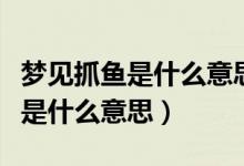 夢見抓魚是什么意思周公解夢官網（夢見抓魚是什么意思）
