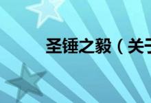 圣錘之毅（關于圣錘之毅的介紹）