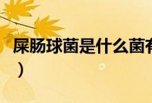 屎腸球菌是什么菌有危險(xiǎn)嗎(屎腸球菌是什么)