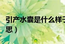 引產(chǎn)水囊是什么樣子圖片（水囊引產(chǎn)是什么意思）