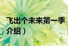 飛出個未來第一季（關(guān)于飛出個未來第一季的介紹）