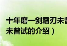 十年磨一劍霜刃未曾試（關于十年磨一劍霜刃未曾試的介紹）
