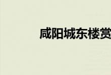 咸陽(yáng)城東樓賞析（咸陽(yáng)城東樓）