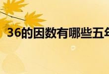 36的因數(shù)有哪些五年級(jí)（36的因數(shù)有哪些）