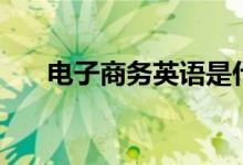 電子商務英語是什么（電子商務英語）